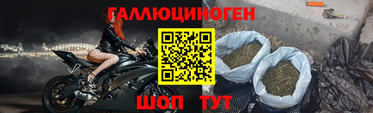 Галлюциногенные грибы ЛСД  Вход с VPN  Рославль  Псилоцибиновые грибы мухоморы 
